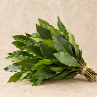Alloro 100gr