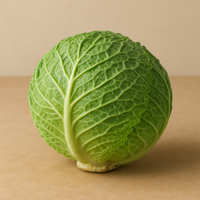 Cavolo Verza Verde 500gr