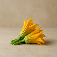 Fiori di zucchina