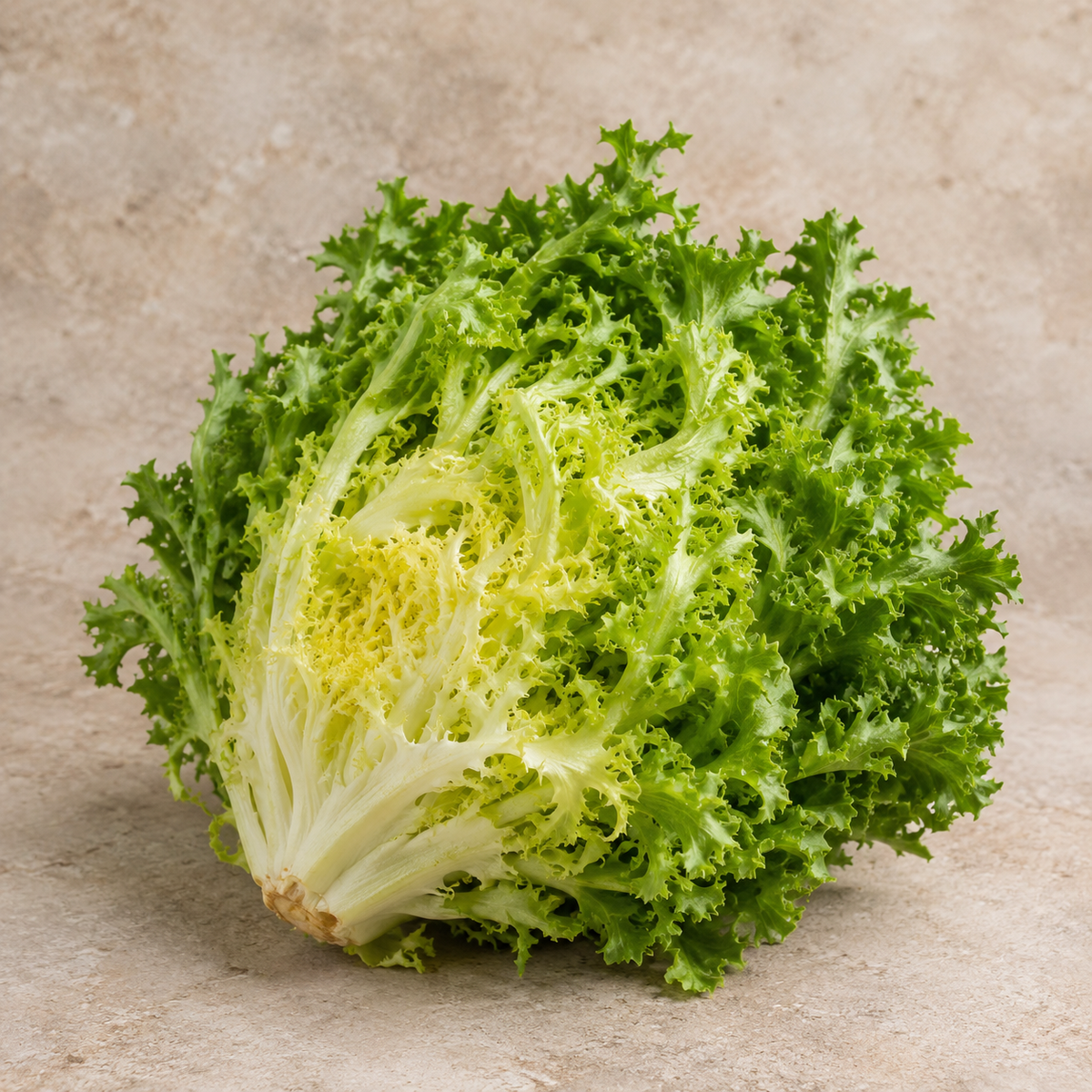 Indivia Riccia 800gr