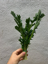 Mizuna 60gr