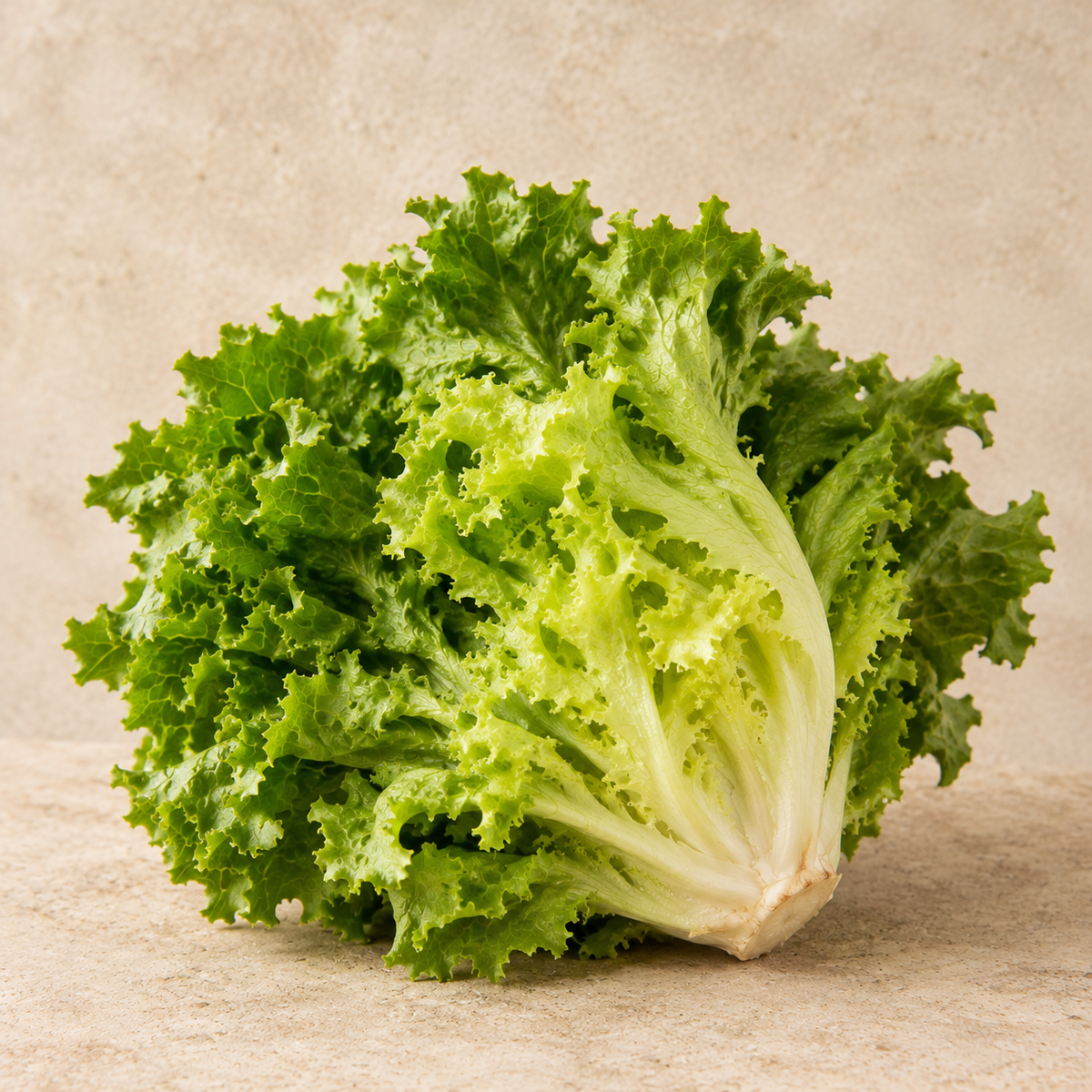 Scarola 400gr