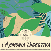 L' Armonia Digestiva 25gr