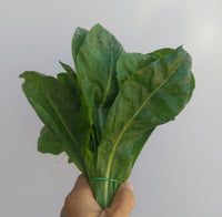 Cicoria 100gr