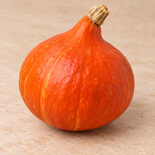 Zucca Hokkaido 1,5Kg