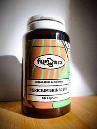 3x Capsule Lion's Mane 500mg (60 capsule)