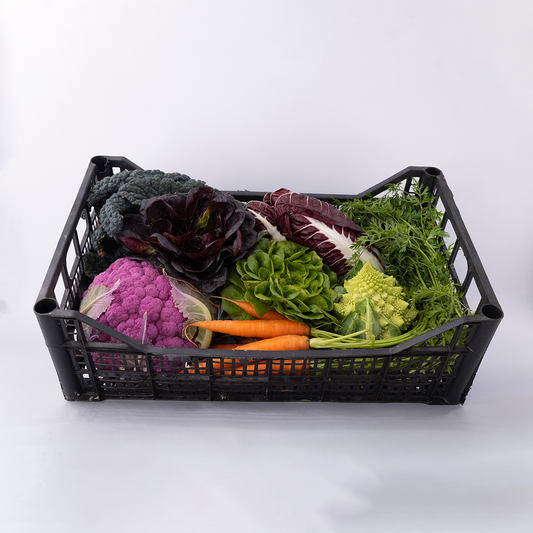 Cassetta La Stagionale