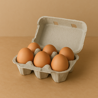 Confezione da 6 uova